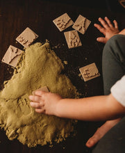 Load image into Gallery viewer, Dinosaur Footprint Eco Stamp Set
